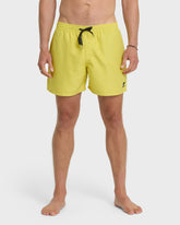Everyday Solid 17" Swim Trunks - Acacia