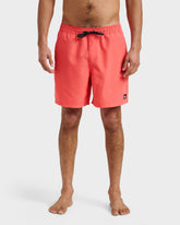 Everyday Solid 17" Swim Trunks - Dubarry