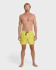 Everyday Solid 17" Swim Trunks - Acacia