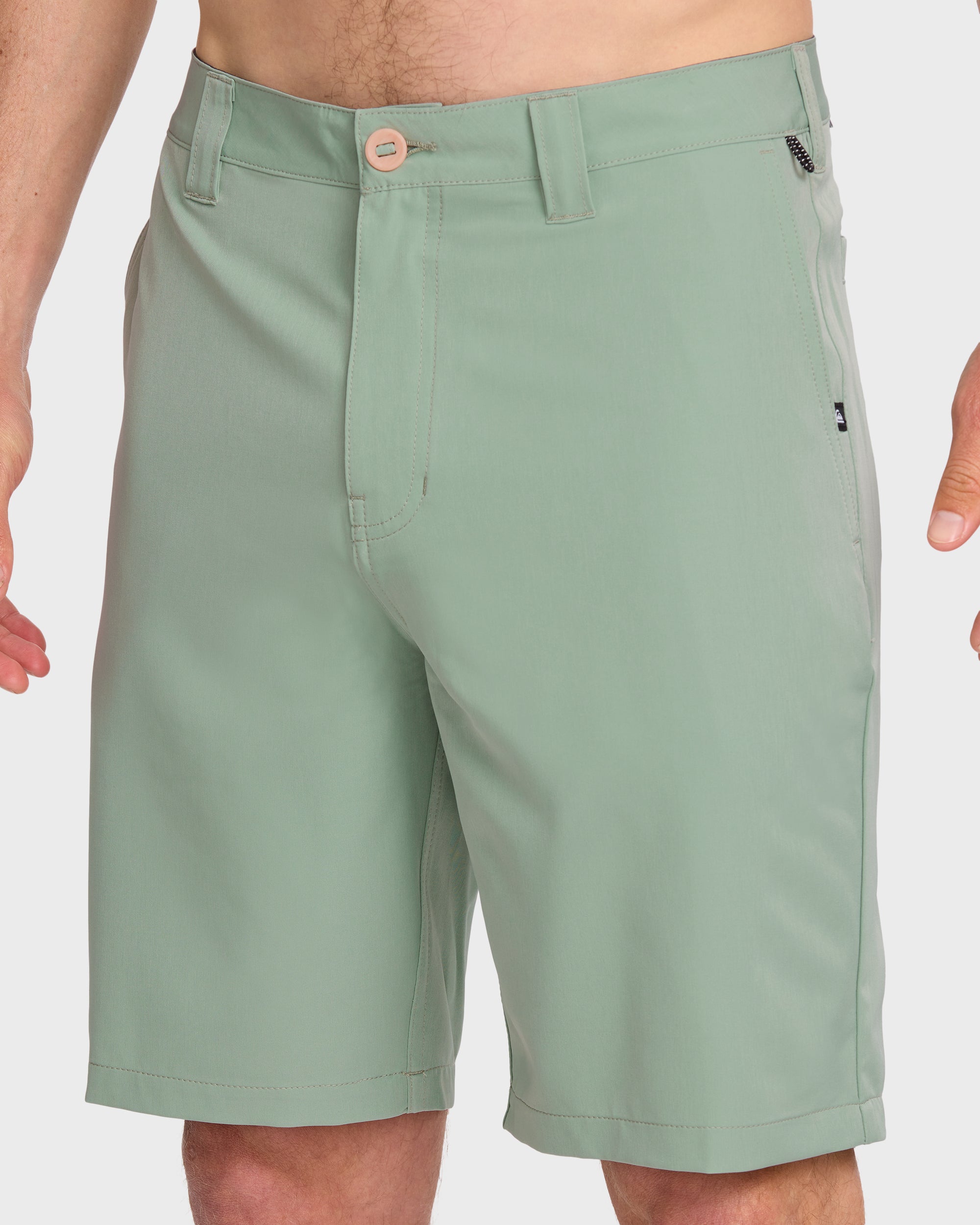 Union Amphibian 20" Hybrid Shorts - Herb