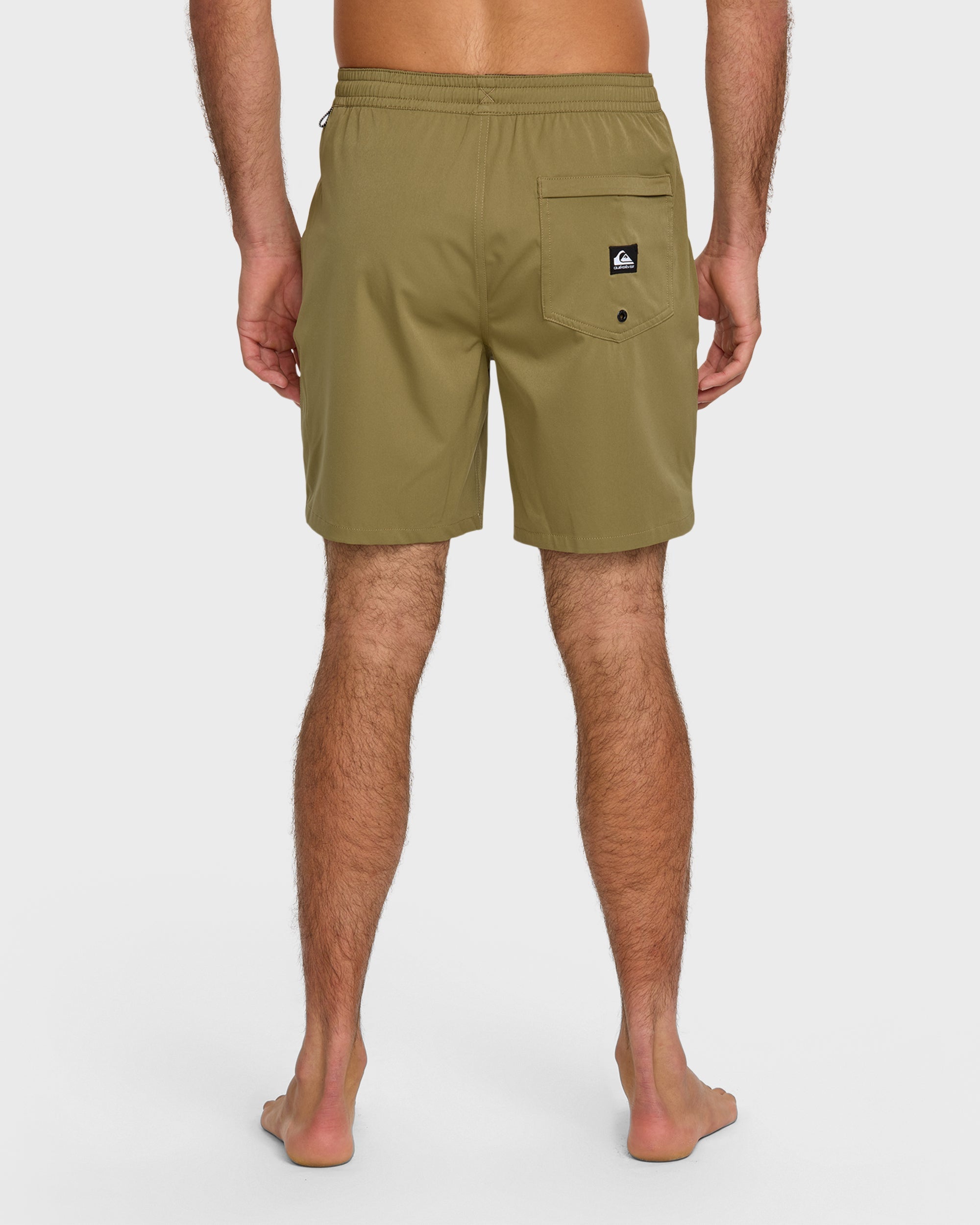 Taxer Amphibian 18" Hybrid Shorts - Aloe