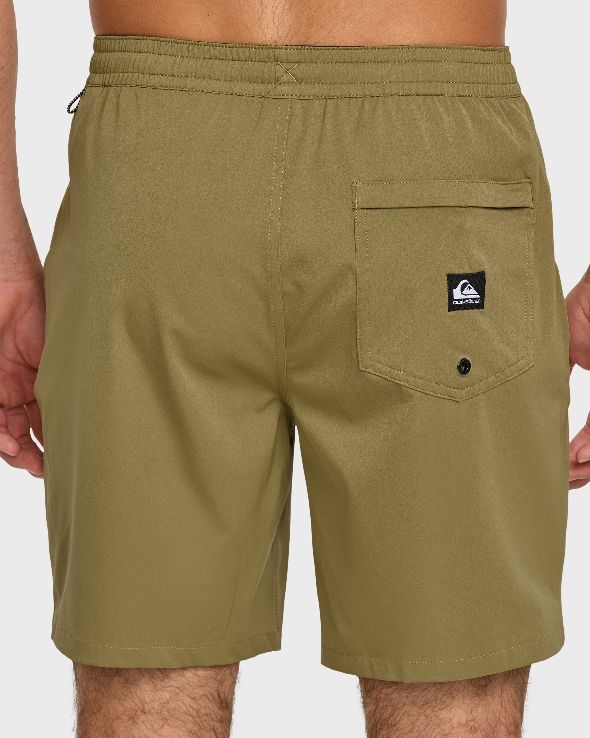 Taxer Amphibian 18" Hybrid Shorts - Aloe