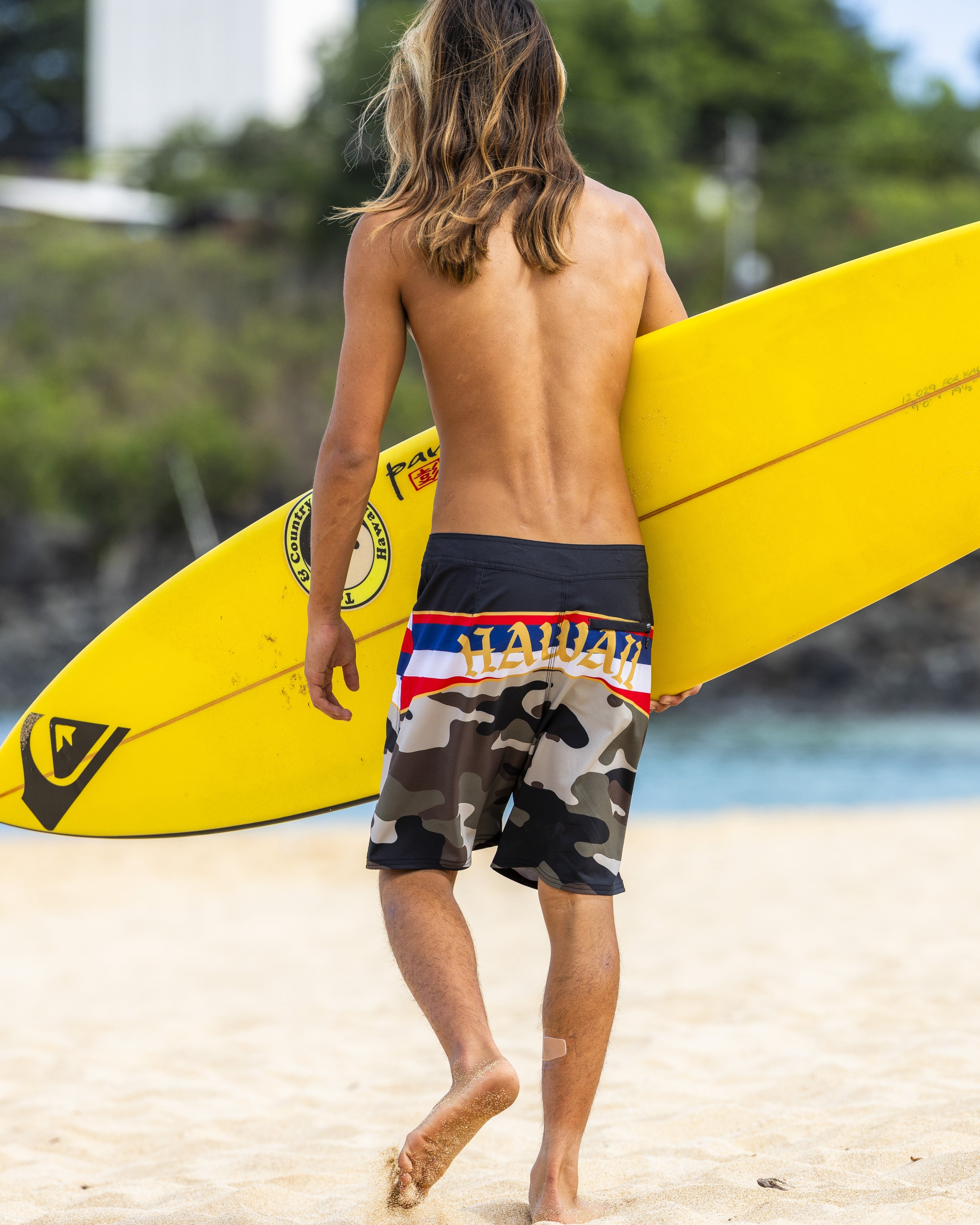 Hi Panel 20" Boardshorts - Grape Leaf