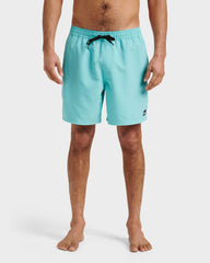 Everyday Solid 17" Swim Trunks - Aqua Sky