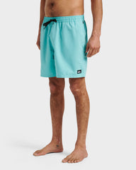 Everyday Solid 17" Swim Trunks - Aqua Sky