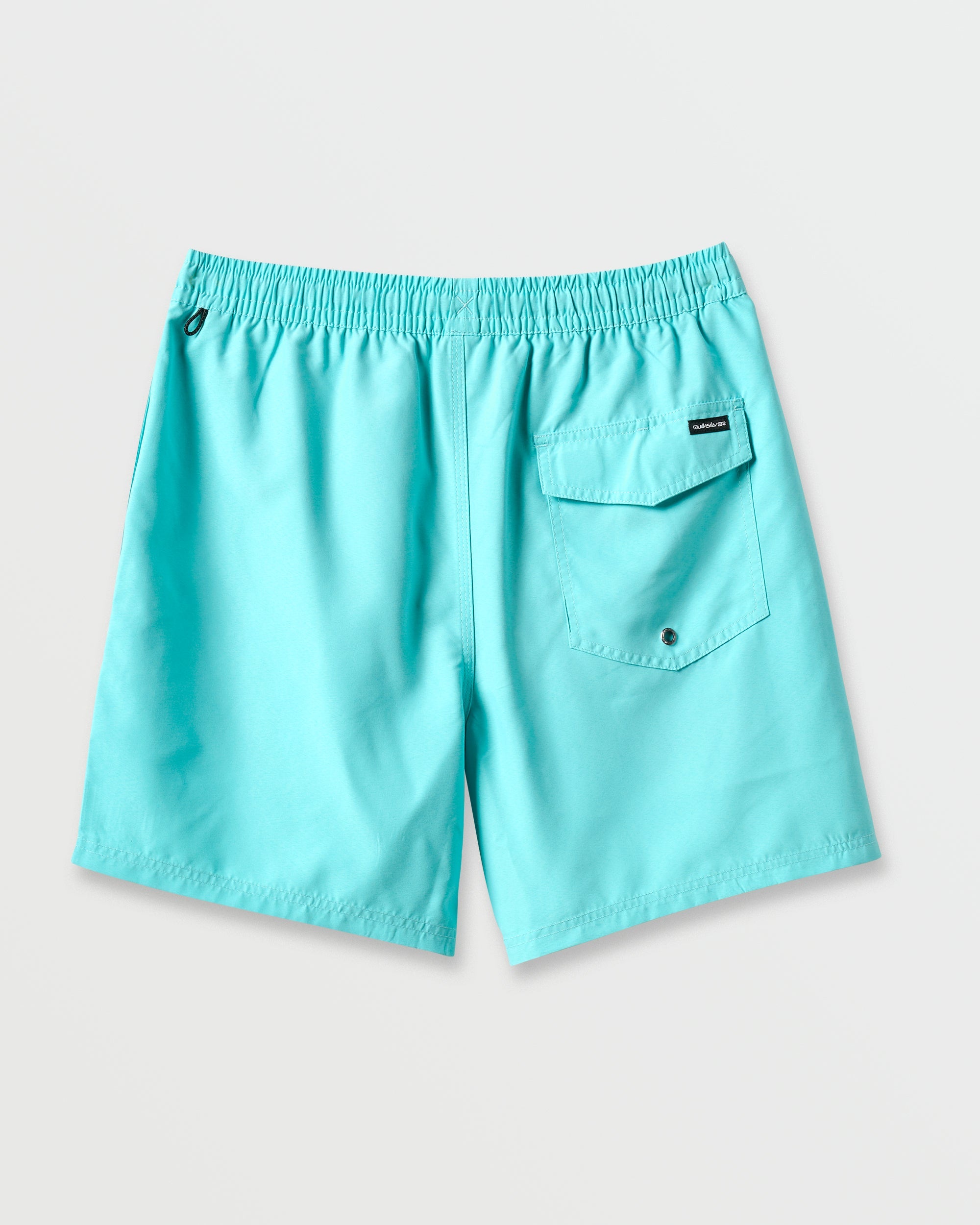 Everyday Solid 17" Swim Trunks - Aqua Sky