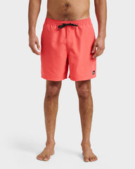 Everyday Solid 17" Swim Trunks - Dubarry