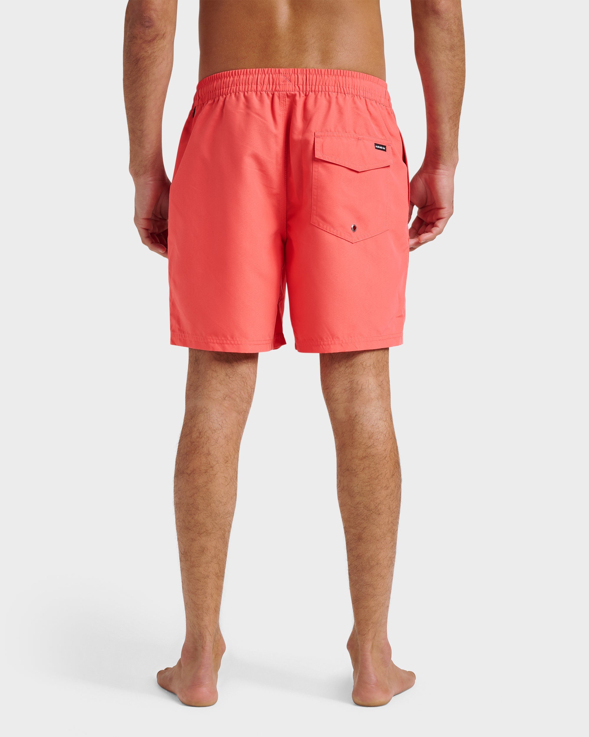Everyday Solid 17" Swim Trunks - Dubarry