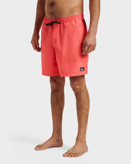 Everyday Solid 17" Swim Trunks - Dubarry